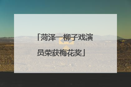 菏泽一柳子戏演员荣获梅花奖