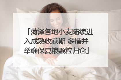 菏泽各地小麦陆续进入成熟收获期 多措并举确保夏粮颗粒归仓