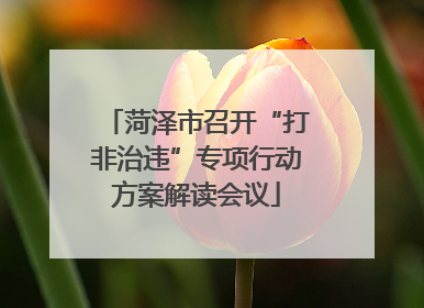 菏泽市召开“打非治违”专项行动方案解读会议