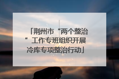 荆州市“两个整治”工作专班组织开展冷库专项整治行动