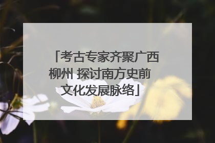 考古专家齐聚广西柳州 探讨南方史前文化发展脉络