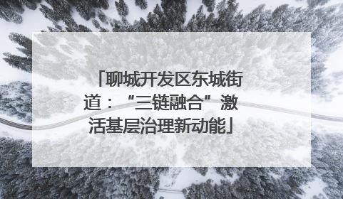 聊城开发区东城街道：“三链融合”激活基层治理新动能