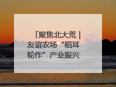 聚焦北大荒｜友谊农场“稻耳轮作”产业振兴“花开两朵”