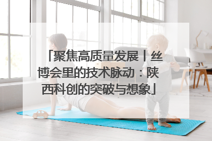 聚焦高质量发展丨丝博会里的技术脉动：陕西科创的突破与想象