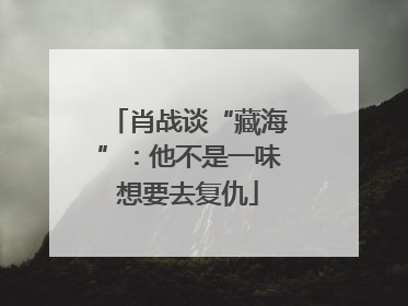 肖战谈“藏海”：他不是一味想要去复仇