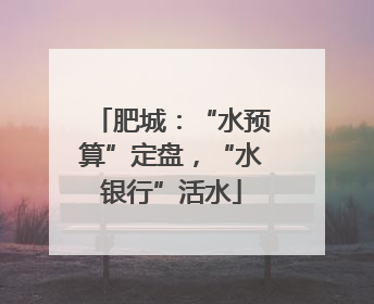 肥城：“水预算”定盘，“水银行”活水