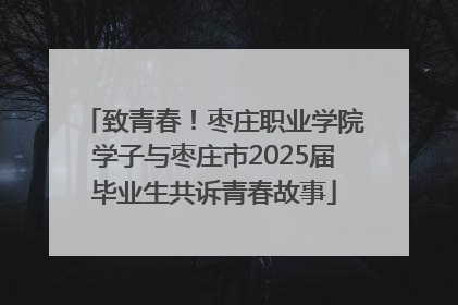 致青春！枣庄职业学院学子与枣庄市2025届毕业生共诉青春故事