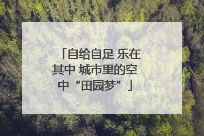 自给自足 乐在其中 城市里的空中“田园梦”
