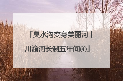 臭水沟变身美丽河丨川渝河长制五年间④