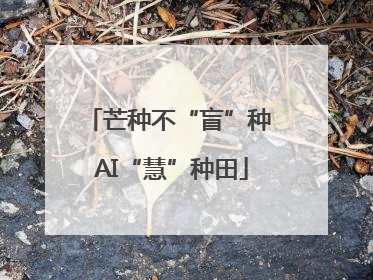 芒种不“盲”种 AI“慧”种田