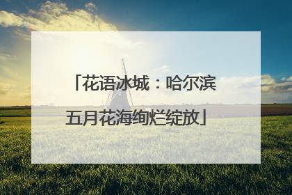 花语冰城：哈尔滨五月花海绚烂绽放
