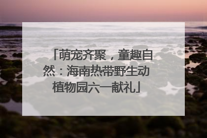 萌宠齐聚，童趣自然：海南热带野生动植物园六一献礼