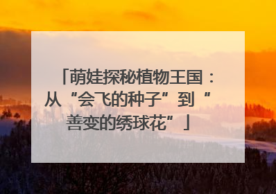 萌娃探秘植物王国：从“会飞的种子”到“善变的绣球花”