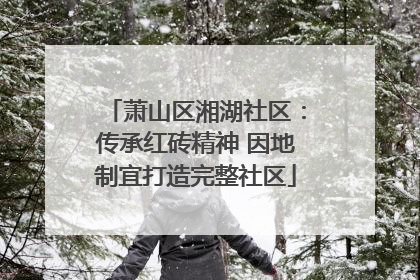 萧山区湘湖社区：传承红砖精神 因地制宜打造完整社区