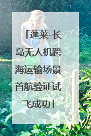 蓬莱-长岛无人机跨海运输场景首航验证试飞成功
