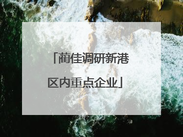 蔺佳调研新港区内重点企业