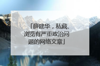 薛建华，私藏、浏览有严重政治问题的网络文章