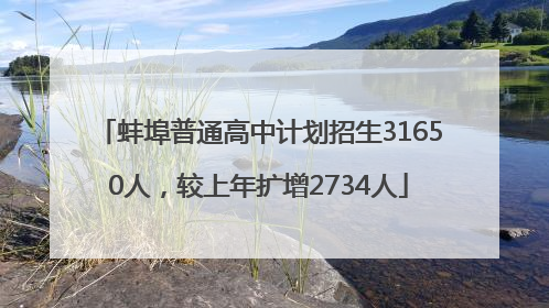 蚌埠普通高中计划招生31650人，较上年扩增2734人