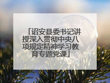 诏安县委书记讲授深入贯彻中央八项规定精神学习教育专题党课