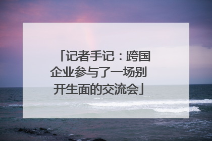 记者手记：跨国企业参与了一场别开生面的交流会