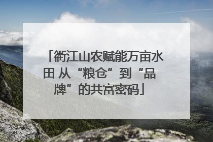 衢江山农赋能万亩水田 从“粮仓”到“品牌”的共富密码