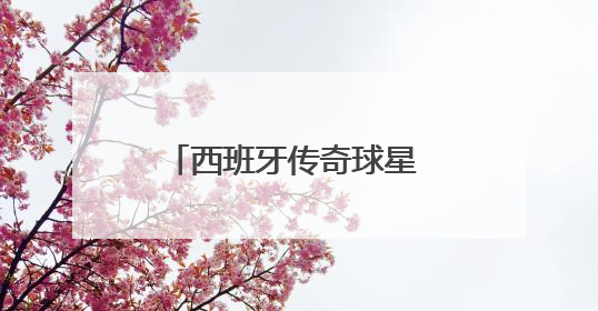 西班牙传奇球星 比利亚莅临郑州
