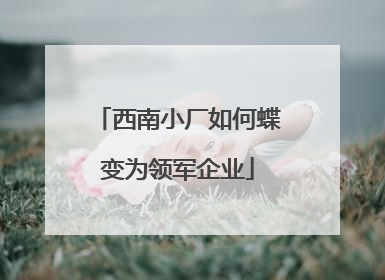 西南小厂如何蝶变为领军企业