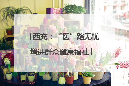 西充：“医”路无忧 增进群众健康福祉