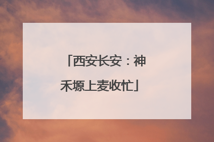 西安长安：神禾塬上麦收忙