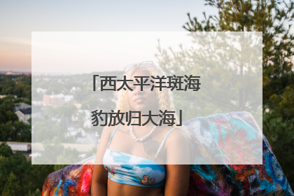 西太平洋斑海豹放归大海