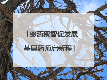 襄药聚智促发展 基层药师启新程