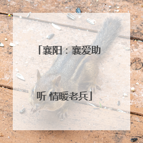 襄阳：襄爱助听 情暖老兵