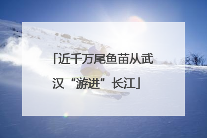 近千万尾鱼苗从武汉“游进”长江