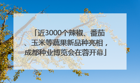 近3000个辣椒、番茄、玉米等蔬果新品种亮相，成都种业博览会在蓉开幕