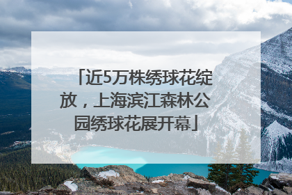 近5万株绣球花绽放，上海滨江森林公园绣球花展开幕
