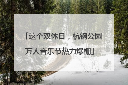 这个双休日，杭钢公园万人音乐节热力爆棚