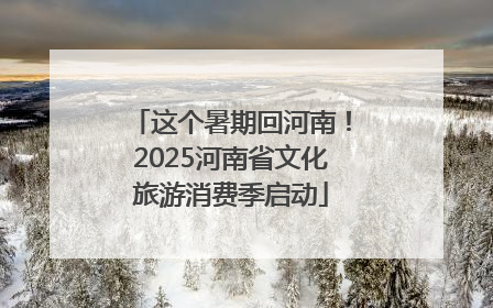这个暑期回河南！2025河南省文化旅游消费季启动