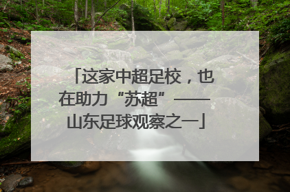 这家中超足校，也在助力“苏超”——山东足球观察之一