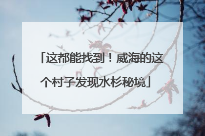 这都能找到！威海的这个村子发现水杉秘境