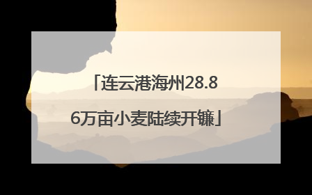 连云港海州28.86万亩小麦陆续开镰