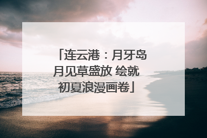 连云港：月牙岛月见草盛放 绘就初夏浪漫画卷