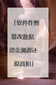 软件作弊篡改数据 资金溯源还原真相