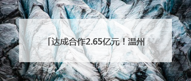 达成合作2.65亿元！温州汽车零部件产业“链接”上海