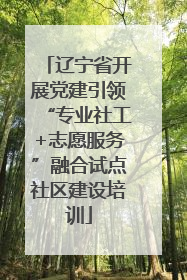 辽宁省开展党建引领“专业社工+志愿服务”融合试点社区建设培训