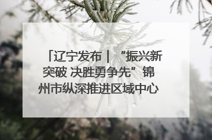 辽宁发布｜“振兴新突破 决胜勇争先”锦州市纵深推进区域中心城市建设 打造高质量发展新增长极