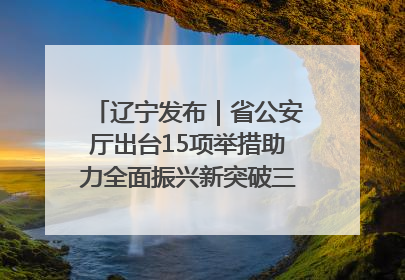 辽宁发布｜省公安厅出台15项举措助力全面振兴新突破三年行动决胜之战