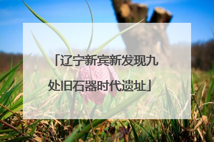 辽宁新宾新发现九处旧石器时代遗址
