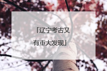 辽宁考古又有重大发现