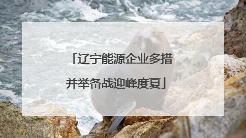 辽宁能源企业多措并举备战迎峰度夏