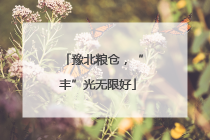 豫北粮仓，“丰”光无限好